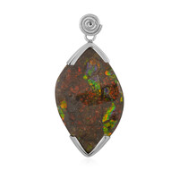 Ammolite Silver Pendant