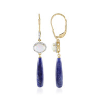 Sodalite Silver Earrings