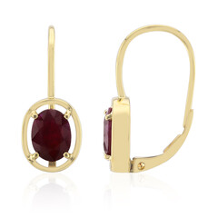 9K Burmese Ruby Gold Earrings