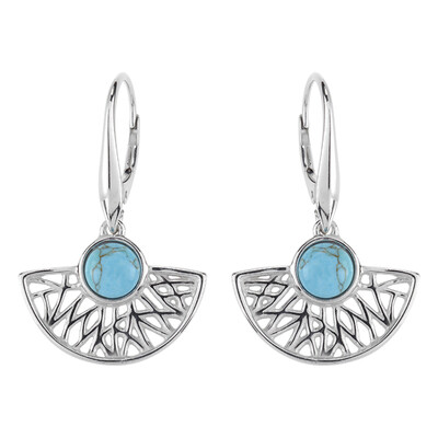 Turquoise Silver Earrings (dagen)