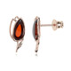 Baltic Amber Silver Earrings (dagen)