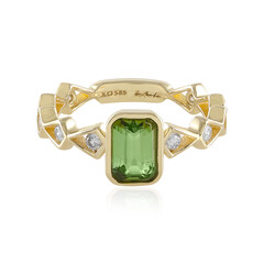 14K Brazilian Tourmaline Gold Ring (de Melo)