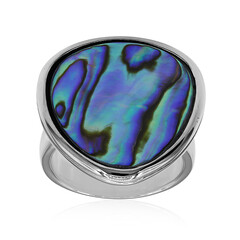 Abalone Shell Silver Ring (Art of Nature)