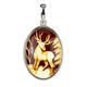 Baltic Amber Silver Pendant (dagen)