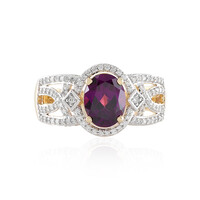 14K Magenta Garnet Gold Ring (SUHANA)