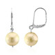 Kabira Golden South Sea Pearl Silver Earrings (TPC)