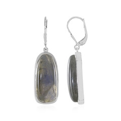 Blue Maniry Labradorite Silver Earrings (KM by Juwelo)