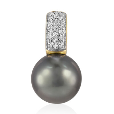 9K Tahitian Pearl Gold Pendant (TPC)