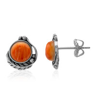 Orange Spiny Oyster Shell Silver Earrings (Desert Chic)