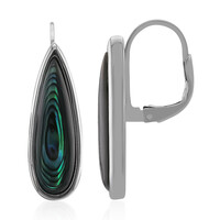 Abalone Shell Silver Earrings