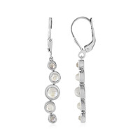 Rainbow Moonstone Silver Earrings (KM by Juwelo)