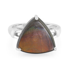 Ammolite Silver Ring