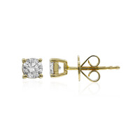 14K I1 (H) Diamond Gold Earrings (CIRARI)