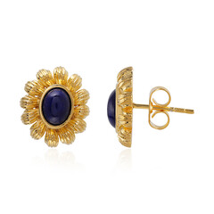 Lapis Lazuli Brass Earrings (Juwelo Style)