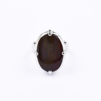 Petrified Wood Silver Ring