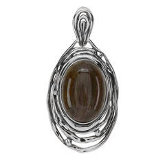 Petrified Wood Silver Pendant