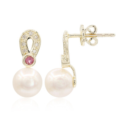 9K Akoya Pearl Gold Earrings (TPC)