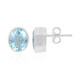 Sky Blue Topaz Silver Earrings (MONOSONO COLLECTION)