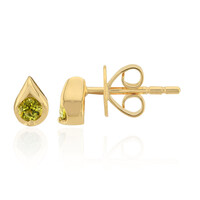 9K Kansas Pallavine Gold Earrings