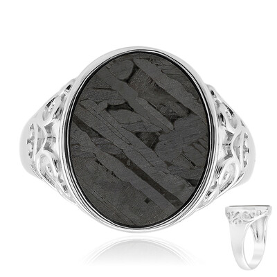 Aletai-Meteorite Silver Ring