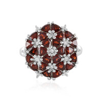 Mozambique Garnet Silver Ring