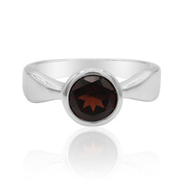 Mozambique Garnet Silver Ring