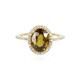 14K Sphene Gold Ring (AMAYANI)