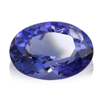 AAA Tanzanite 1,6 ct