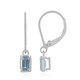 Sky Blue Topaz Silver Earrings