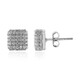 Zircon Silver Earrings