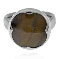 Petrified Wood Silver Ring