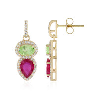 9K Bemainty Ruby Gold Earrings (Adela Gold)