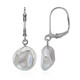 Grey Keshi Freshwater Pearl Silver Earrings (TPC)