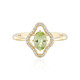 9K Grossular Garnet Gold Ring