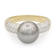 9K Tahitian Pearl Gold Ring (TPC)