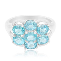 Diego Suarez Apatite Silver Ring