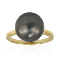 9K Tahitian Pearl Gold Ring (TPC)