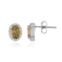 Unheated Yellow Tanzanite Silver Earrings