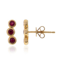 14K AAA Mozambique Ruby Gold Earrings (CIRARI)