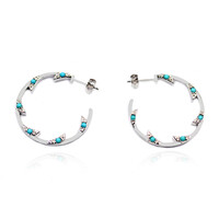 Sleeping Beauty Turquoise Silver Earrings (Anne Bever)