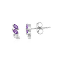 Amethyst Silver Earrings