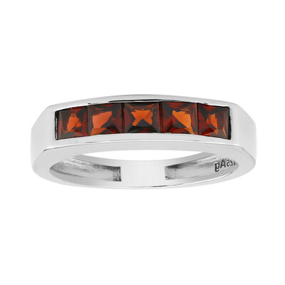 Mozambique Garnet Silver Ring