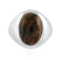 Golden Pietersite Silver Ring