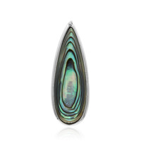 Abalone Shell Silver Pendant