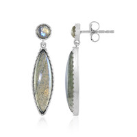 Labradorite Silver Earrings