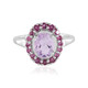 Rose de France Amethyst Silver Ring