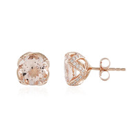 14K AAA Peach Morganite Gold Earrings (de Melo)