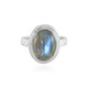 Labradorite Silver Ring (MONOSONO COLLECTION)