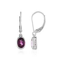 Magenta Garnet Silver Earrings