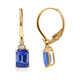 14K AAA Tanzanite Gold Earrings (CIRARI)